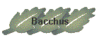 Bacchus