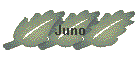 Juno