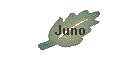 Juno