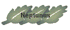 Neptunus