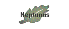 Neptunus