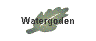 Watergoden