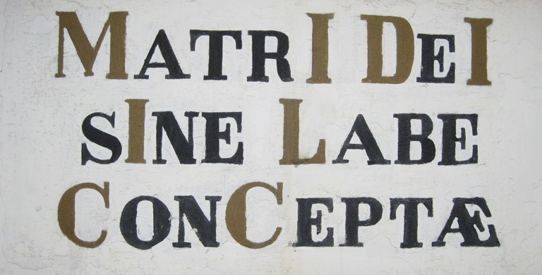1753.jpg